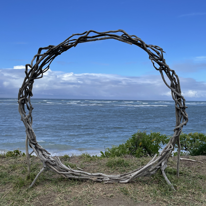 a circular arch with the beach and ocean in the background
